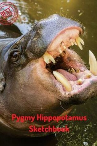 Cover of Pygmy Hippopotamus Sketchbook