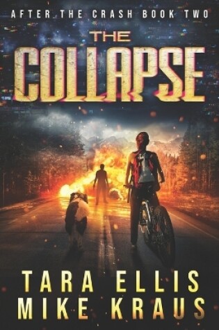 Cover of The Collapse