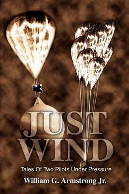 Book cover for Just Wind