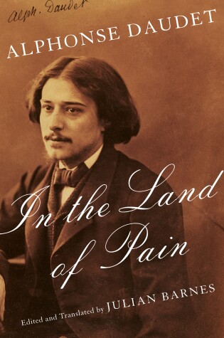 Cover of In the Land of Pain