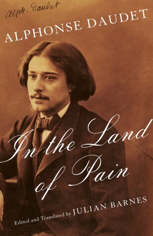 Book cover for In the Land of Pain