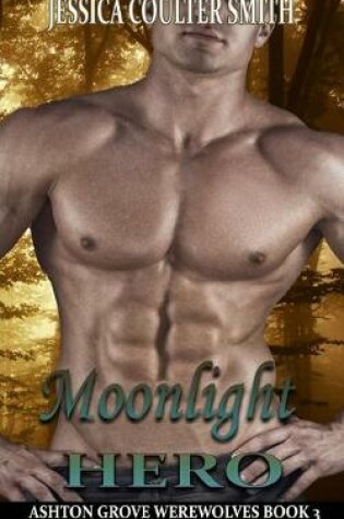 Cover of Moonlight Hero