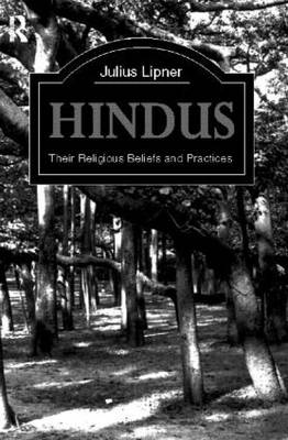 Book cover for Hindus