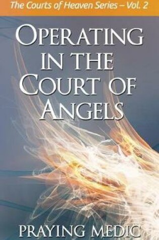 Cover of Operating in the Court of Angels