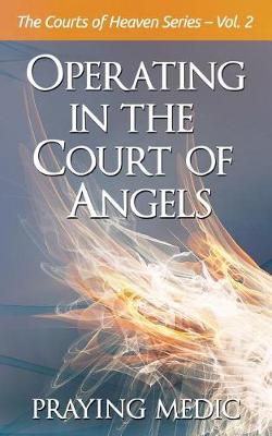 Book cover for Operating in the Court of Angels