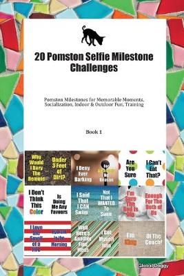 Book cover for 20 Pomston Selfie Milestone Challenges