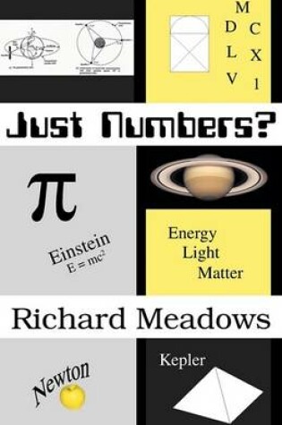 Cover of Just Numbers?