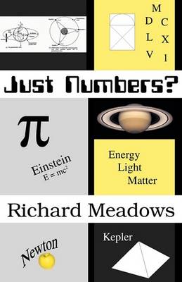 Book cover for Just Numbers?