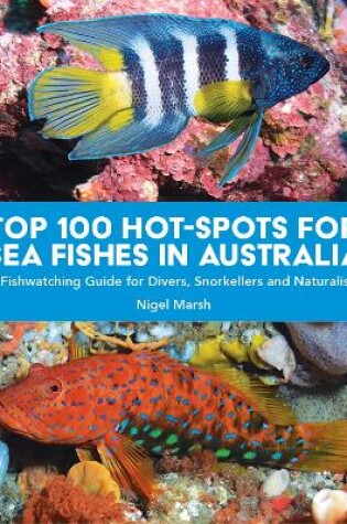 Cover of TOP 100 HOT-SPOTS FOR SEA FISHES IN AUSTRALIA