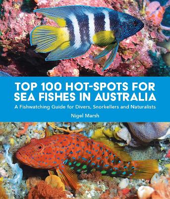 Book cover for TOP 100 HOT-SPOTS FOR SEA FISHES IN AUSTRALIA