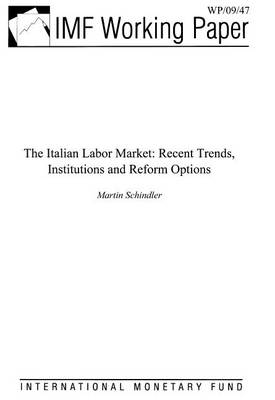 Book cover for The Italian Labor Market