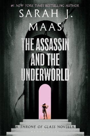 Cover of The Assassin and the Underworld
