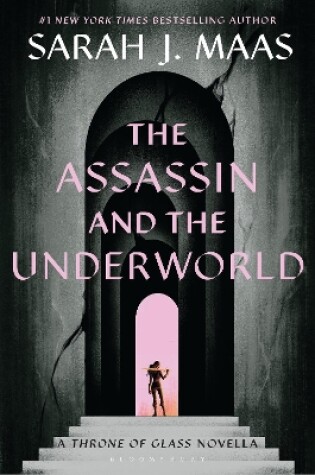 The Assassin and the Underworld