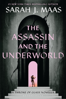 Book cover for The Assassin and the Underworld