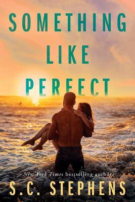 Book cover for Something Like Perfect
