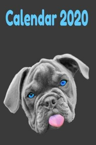 Cover of Bulldog Calendar 2020