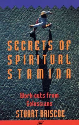 Book cover for Secrets of Spiritual Stamina