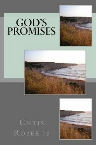 Cover of God's Promises