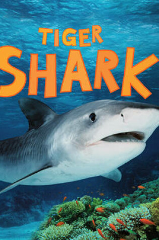 Cover of Discover Sharks: Tiger Shark