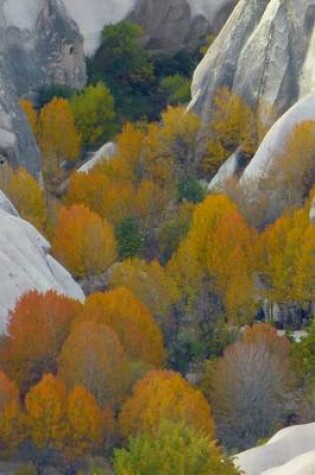 Cover of Tufa Rock Formations in a Valley