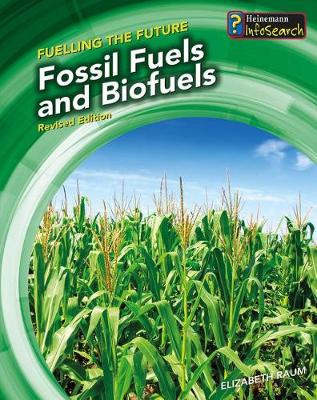 Book cover for Fueling the Future Fossil Fuels and Biofuels