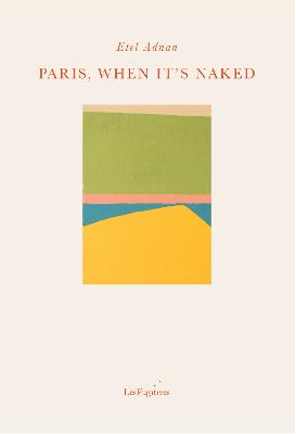 Book cover for Paris, When It's Naked