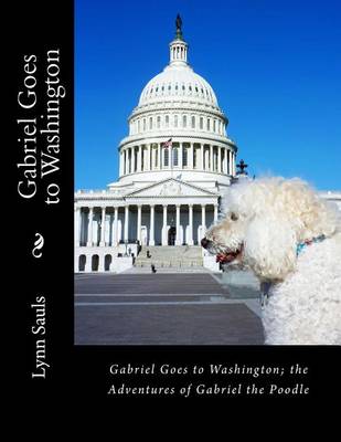 Cover of Gabriel Goes to Washington