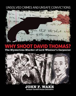 Book cover for Why Shoot David Thomas?