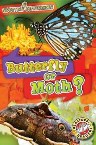 Cover of Butterfly or Moth