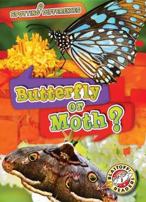 Book cover for Butterfly or Moth