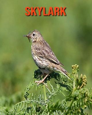 Book cover for Skylark