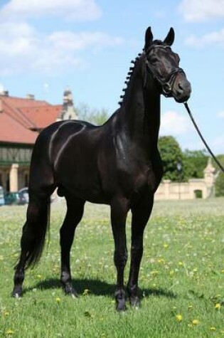 Cover of The Dutch Warmblood Horse Journal