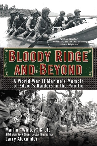 Cover of Bloody Ridge and Beyond