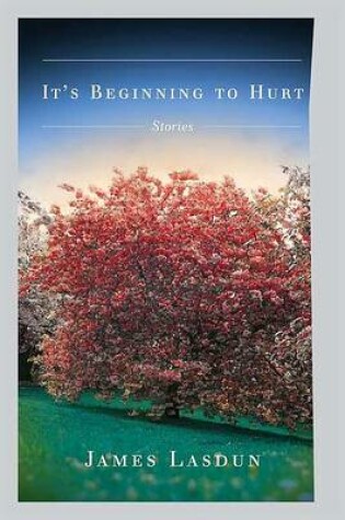 Cover of It's Beginning to Hurt