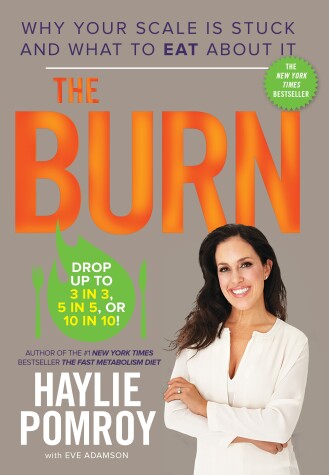 Book cover for The Burn