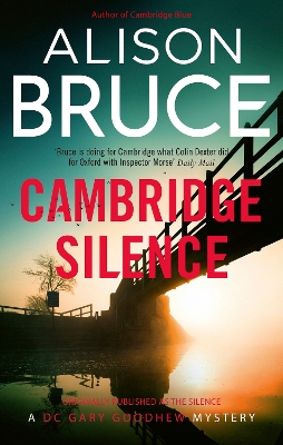 Book cover for The Silence