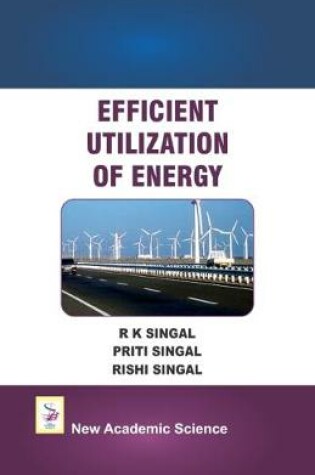 Cover of Efficient Utilization of Energy