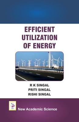 Book cover for Efficient Utilization of Energy