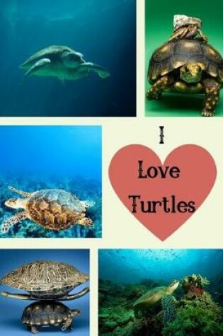 Cover of I Love Turtles