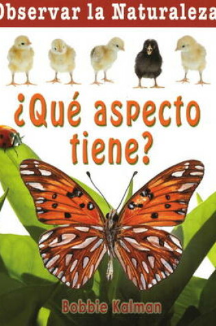 Cover of Que Aspecto Tiene?