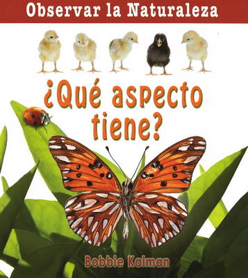 Book cover for Que Aspecto Tiene?