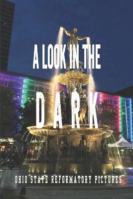 Cover of A Look In The Dark