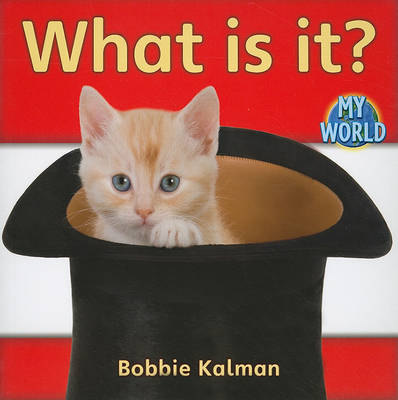 Cover of What is it?