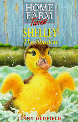 Book cover for Shelley the Shadow