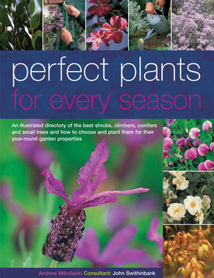 Book cover for Perfect Plants for Every Season