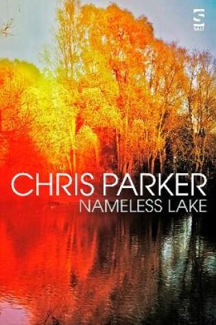 Cover of Nameless Lake