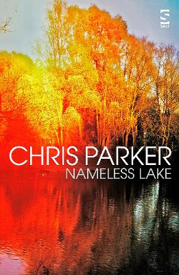Book cover for Nameless Lake