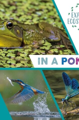 Cover of Explore Ecosystems: In a Pond