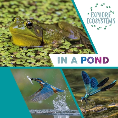 Book cover for Explore Ecosystems: In a Pond