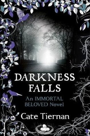 Cover of Darkness Falls